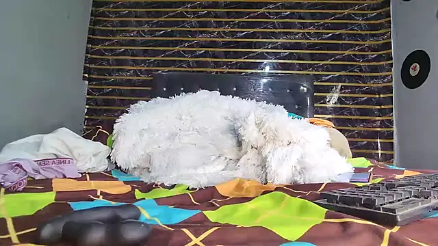 jeffblack2 online show from 1, 4, 2026