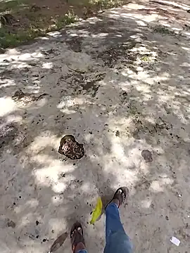 sudhastriper online show from 26, 10, 2025