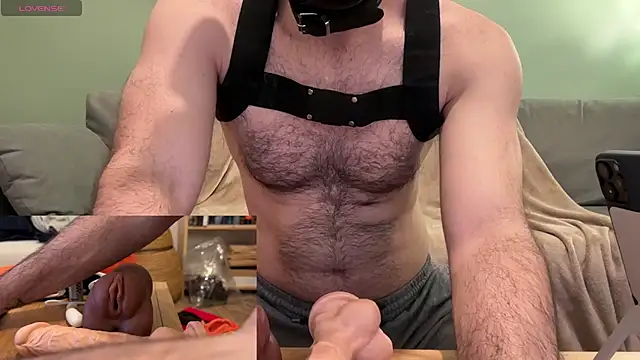 FrenchCamDog online show from 14, 12, 2024