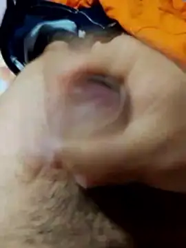 Edipaca online show from 4, 3, 2026