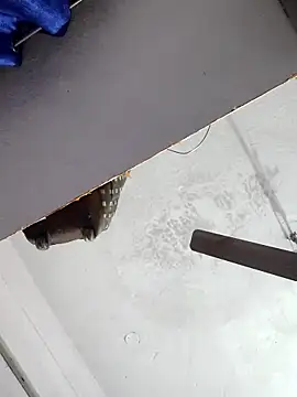 Snapshot of sana14 chatting on 17, 12, 2025 sana14 online show from 17, 12, 2025