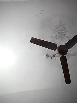 Snapshot of sana14 chatting on 19, 12, 2025 sana14 online show from 19, 12, 2025