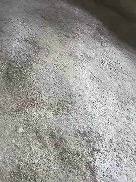 SisterlyFarmhand online show from 12, 10, 2025