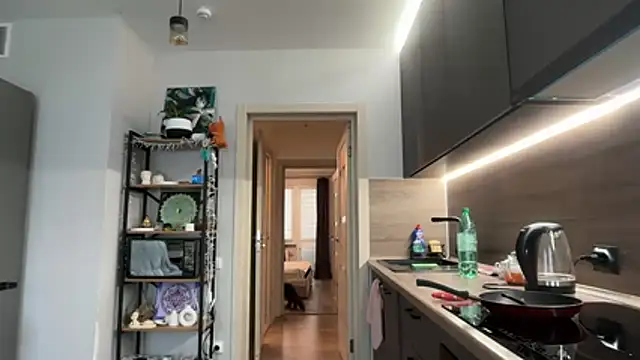 jainesummer online show from 4, 12, 2025