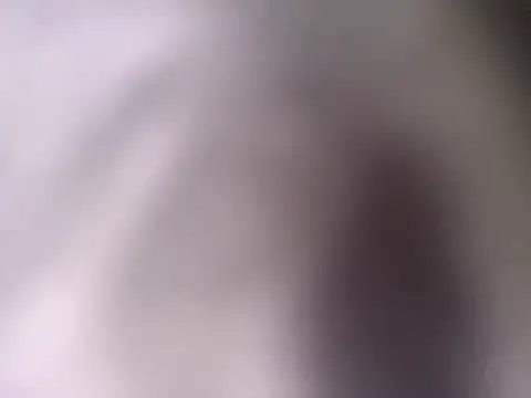 Snapshot of pantomax chatting on 20, 9, 2025 pantomax online show from 20, 9, 2025