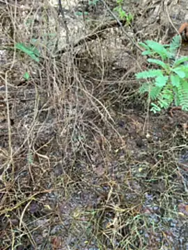 Snapshot of tamil000000 chatting on 14, 3, 2025 tamil000000 online show from 14, 3, 2025