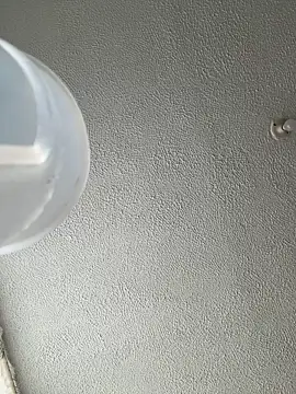 ariiel  online show from 14, 1, 2026