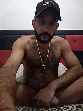 arqui009 online show from 12, 1, 2026