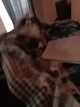 Snapshot of MrTamburine22 chatting on 27, 2, 2026 MrTamburine22 online show from 27, 2, 2026