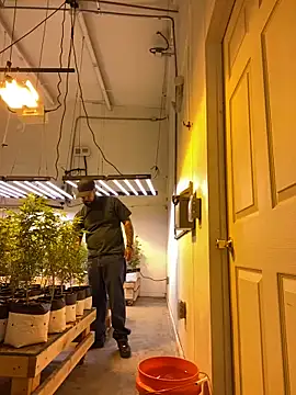 jr91esl online show from 2, 3, 2025