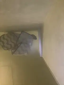 Tommy y Pamela online show from 17, 2, 2026