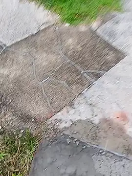 homenbuscalacto online show from 16, 1, 2026