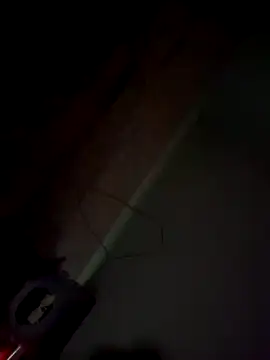 imissyoumylove14 online show from 21, 1, 2025