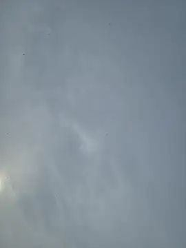 Fuckboy4public online show from 12, 3, 2026