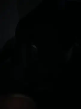 Bignc online show from 27, 3, 2026