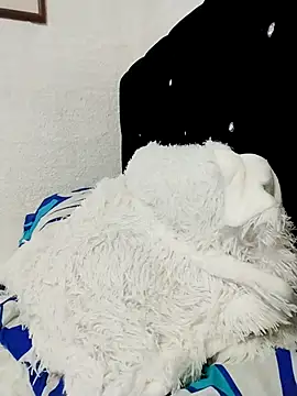 ElizabethWeil online show from 15, 12, 2025