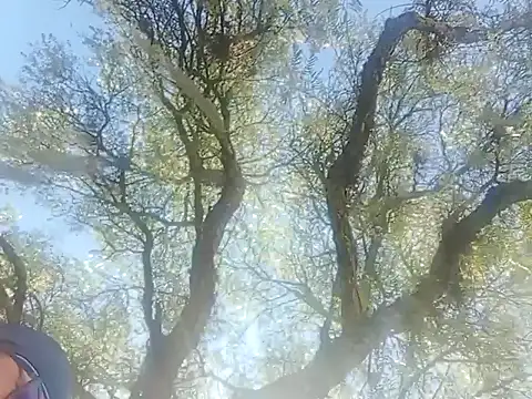 Snapshot of Darly_Gomez chatting on 22, 12, 2024 Darly Gomez online show from 22, 12, 2024