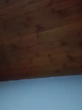 Snapshot of Darly_Gomez chatting on 19, 2, 2025 Darly Gomez online show from 19, 2, 2025