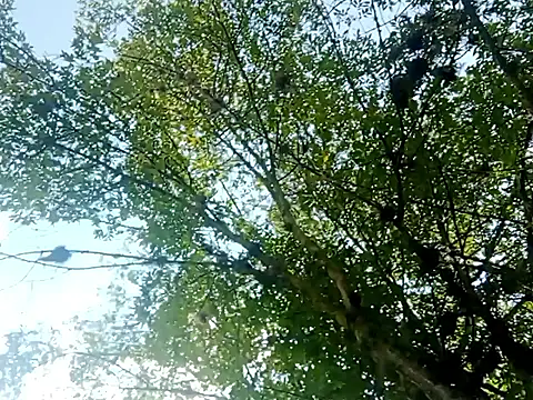 Snapshot of Darly_Gomez chatting on 15, 3, 2025 Darly Gomez online show from 15, 3, 2025