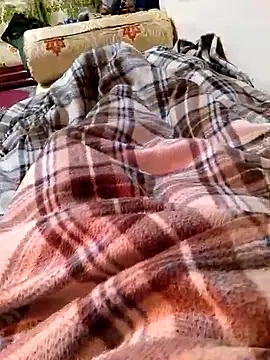 arabian82 online show from 31, 12, 2024