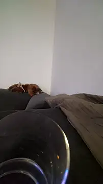 Snapshot of houy111111 chatting on 22, 10, 2025 houy111111 online show from 22, 10, 2025