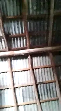 Feli230990 online show from 10, 3, 2025