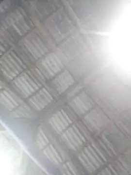 Feli230990 online show from 21, 3, 2026