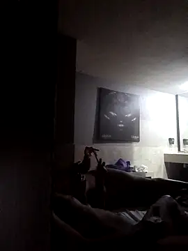 SiperoXxX online show from 4, 11, 2025