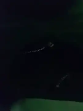 thanos65432 online show from 18, 3, 2026