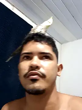 44corninho online show from 24, 2, 2025