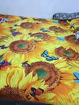 bhavanitelu online show from 21, 12, 2024