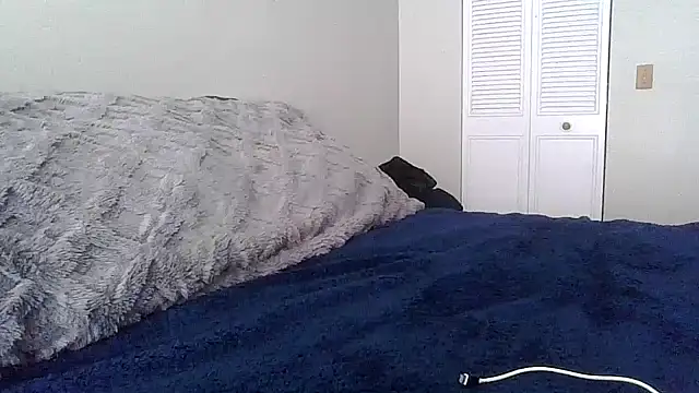 tendertormentt online show from 24, 2, 2026