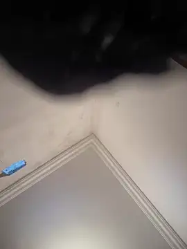 Snapshot of hot_girl_dina chatting on 8, 2, 2025 hot girl dina online show from 8, 2, 2025