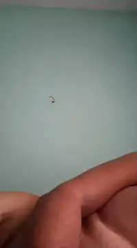 alexjs84 online show from 16, 12, 2024