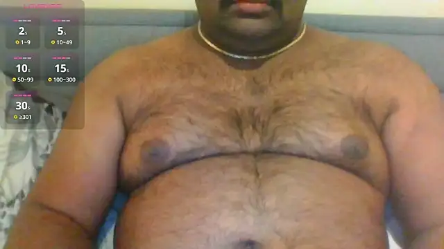 indianbearbot online show from 29, 1, 2025