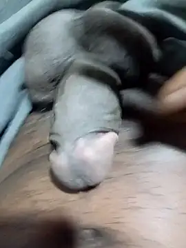 tharu111111 online show from 1, 4, 2026