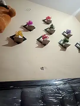 Soniya 444 online show from 1, 3, 2026