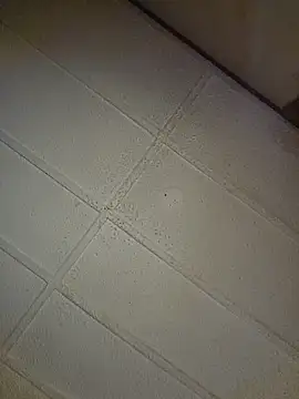 zaneporter46 online show from 31, 10, 2025