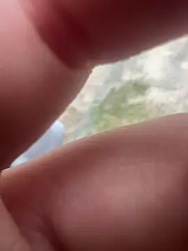 Casadadelicia26 online show from 19, 3, 2026