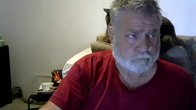 viejo oso online show from 30, 11, 2025