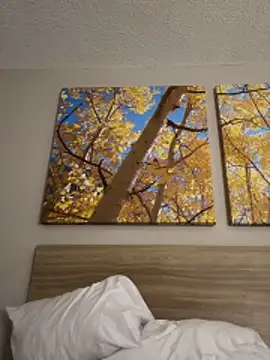 kayNkris online show from 7, 2, 2026