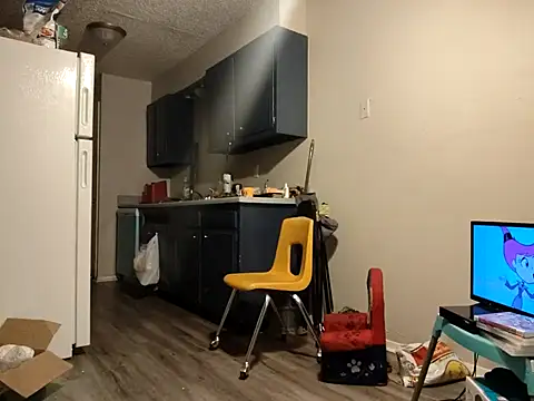 Itallionstallion online show from 17, 3, 2025