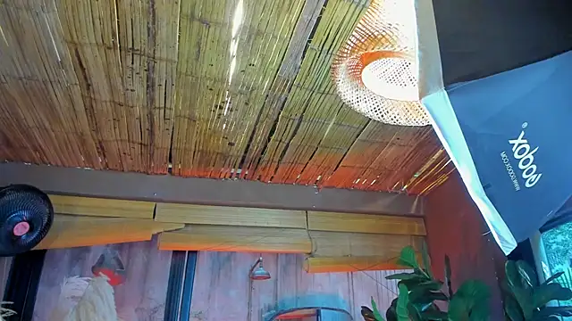 MarcoVitto online show from 18, 11, 2025