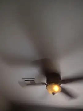 lasMasDulce online show from 14, 4, 2026