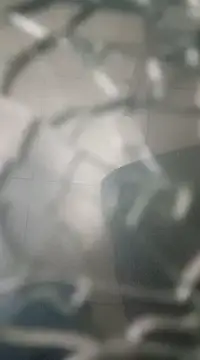 Snapshot of cachondosur13 chatting on 17, 2, 2025 cachondosur13 online show from 17, 2, 2025