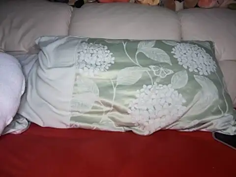 Archie8338 online show from 4, 11, 2025