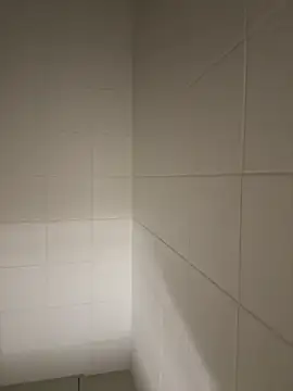 daixxyflorexxx online show from 1, 1, 2025