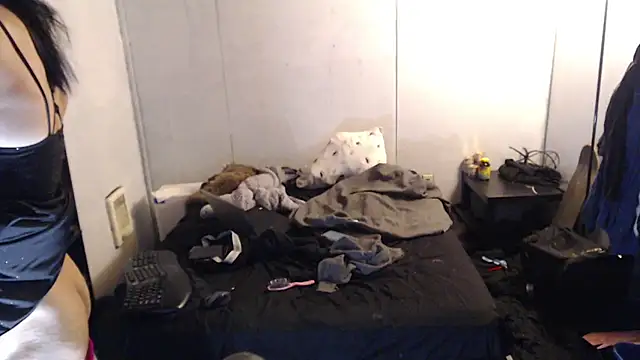 SadCatDaddy online show from 9, 3, 2025