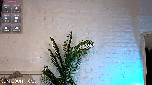 Aurora First online show from 4, 2, 2025