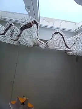 Snapshot of Lauren_Amabel chatting on 22, 2, 2026 Lauren Amabel online show from 22, 2, 2026